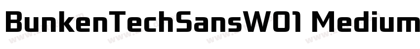 BunkenTechSansW01 MediumIt字体转换 BunkenTechSansW01 MediumIt字体转换